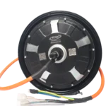 10 Inch BLDC Hub Motor