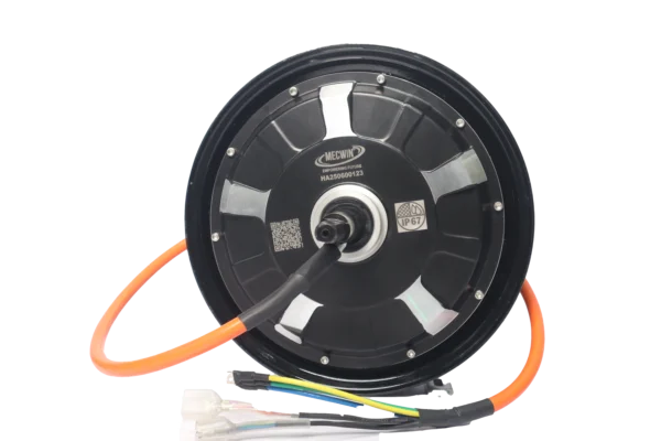 10 Inch BLDC Hub Motor