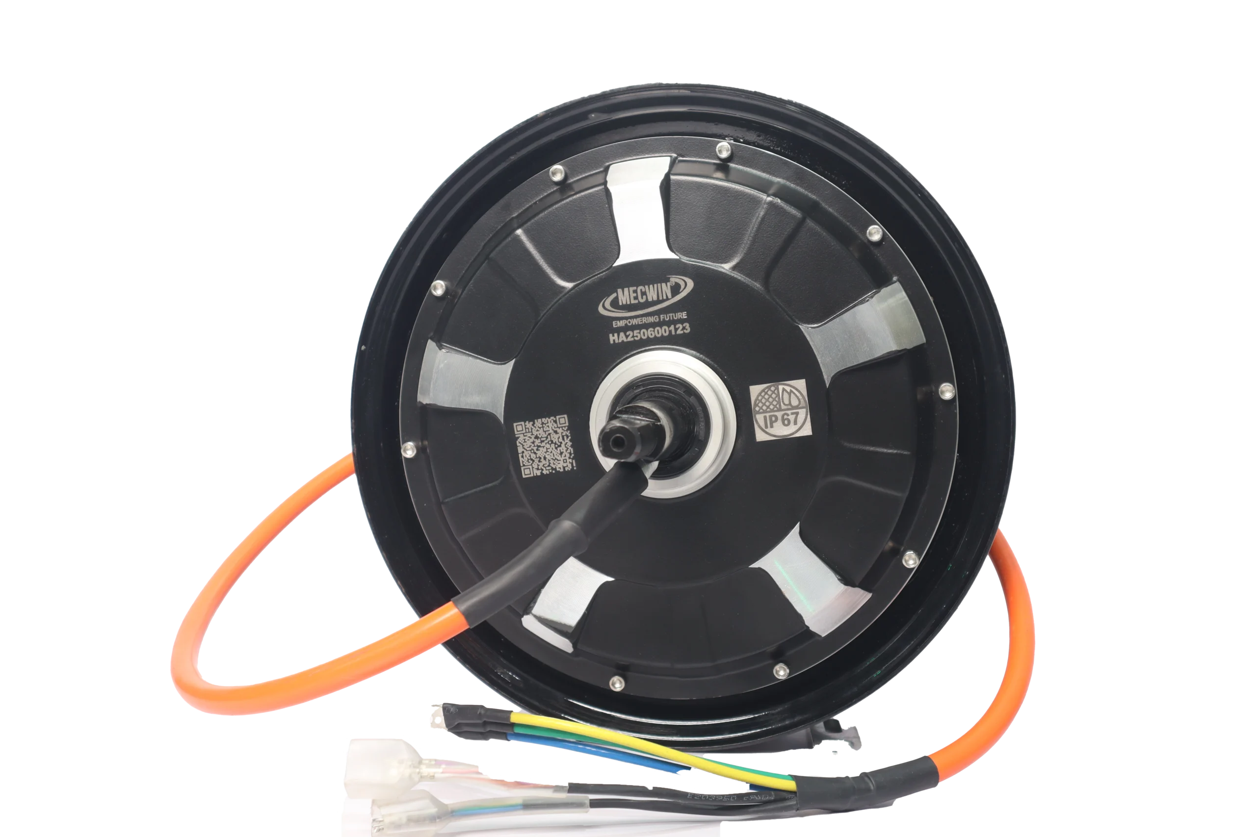 10 Inch BLDC Hub Motor